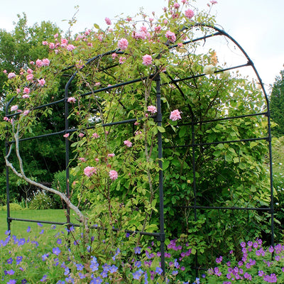 Round Pergola With Lattice