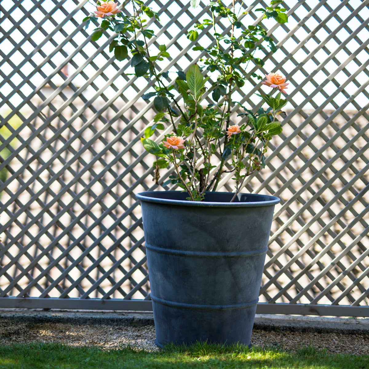 Zinc planters - hooped