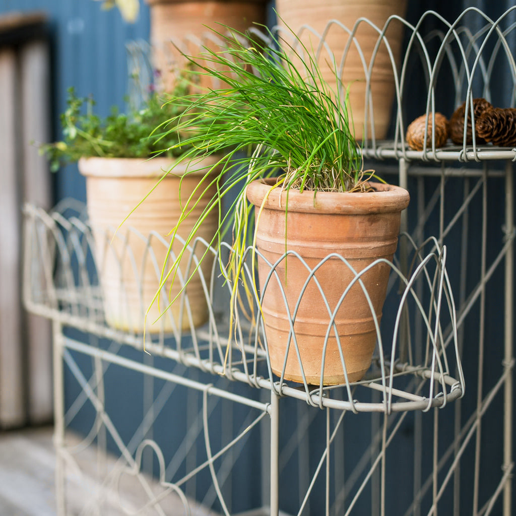 Victorian Wirework Plant Stand with plant pots on it 