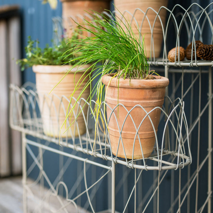 Victorian Wirework Plant Stand with plant pots on it 