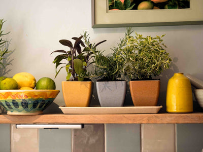 Earth Pots Windowsill Set