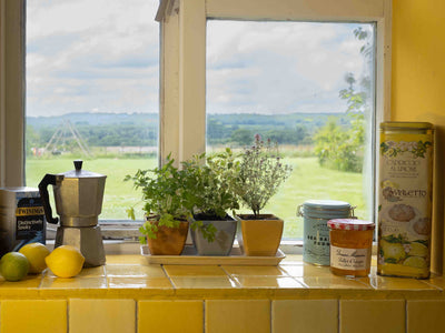 Earth Pots Windowsill Set