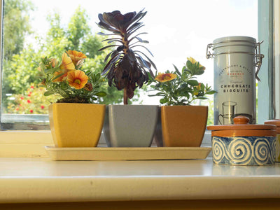 Earth Pots Windowsill Set