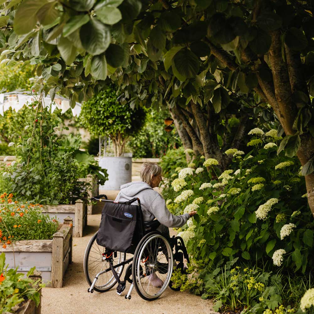 person in wheelchair in a garden