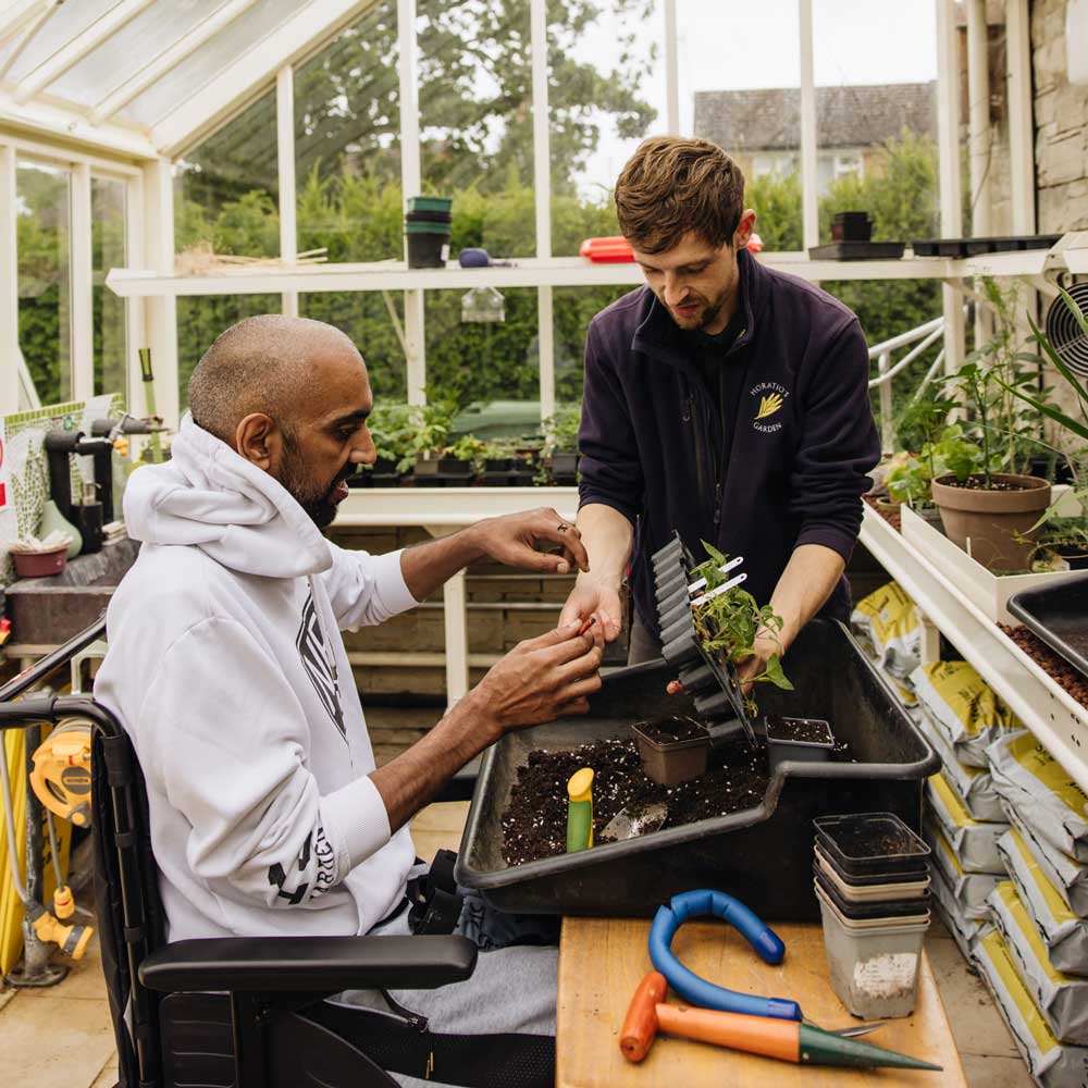two men plating seeds in a greehouse