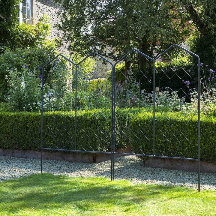 Agriframes alpine screens linked together on the edge of a lawn in a large garden scene