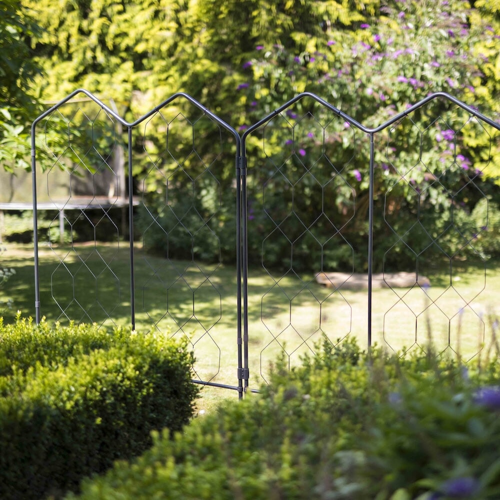 Agriframes screens linked together in front of a lawn, foregrounded by short hedges
