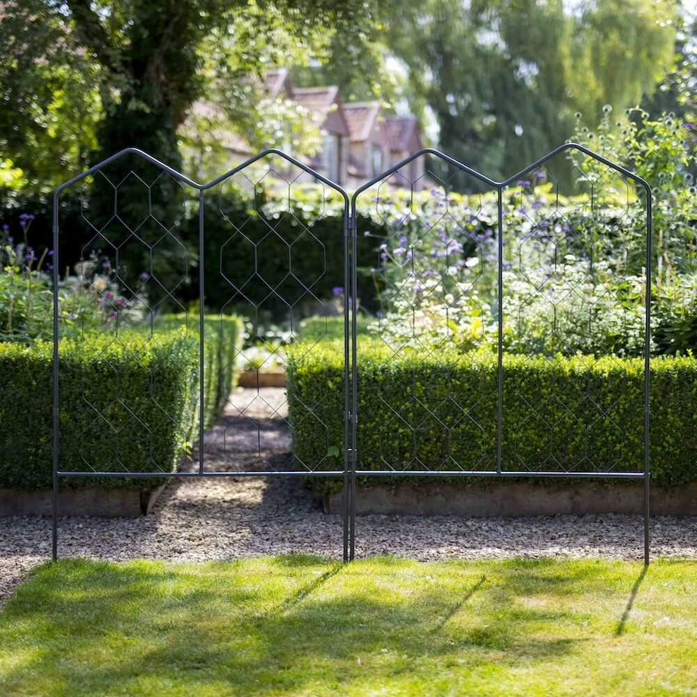 Agriframes alpine screensn linked together on the edge of a lawn in a garden scene