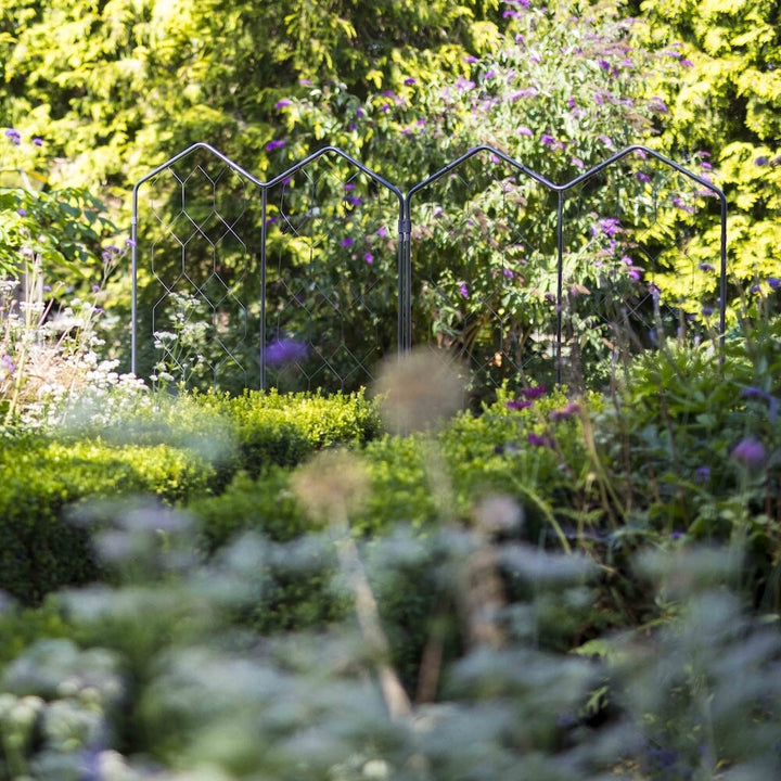 Agriframes alpine screens linked together amongst a large floral garden