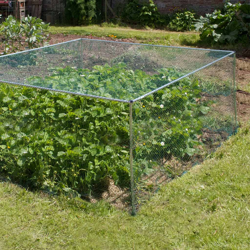 Knowle Nets Aluminium Low Fruit Cage installed in a garden over a large fruit plant.