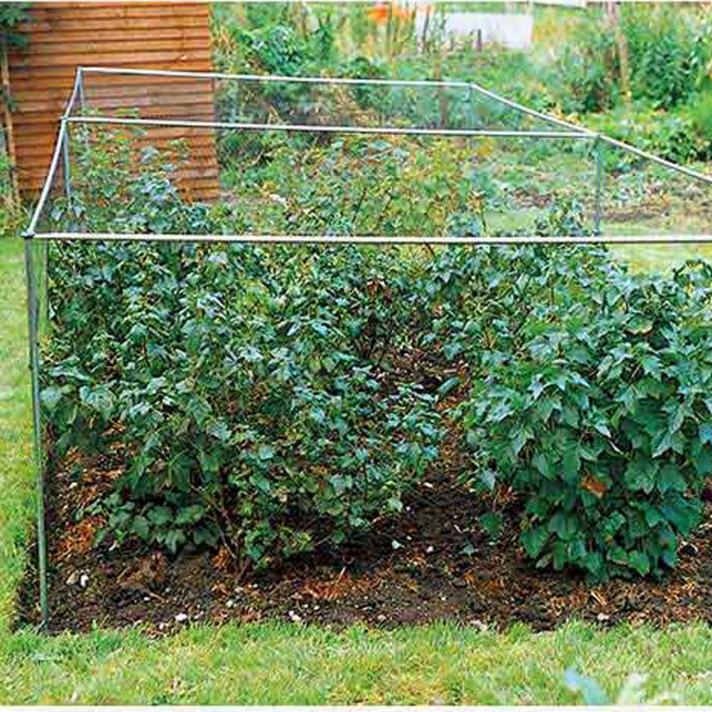 Knowle Nets Aluminium Vegetable Cage covering several plants in a vegetable patch.