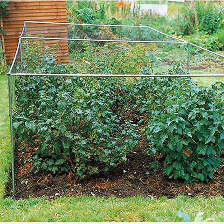 Knowle Nets Aluminium Vegetable Cage covering several plants in a vegetable patch.