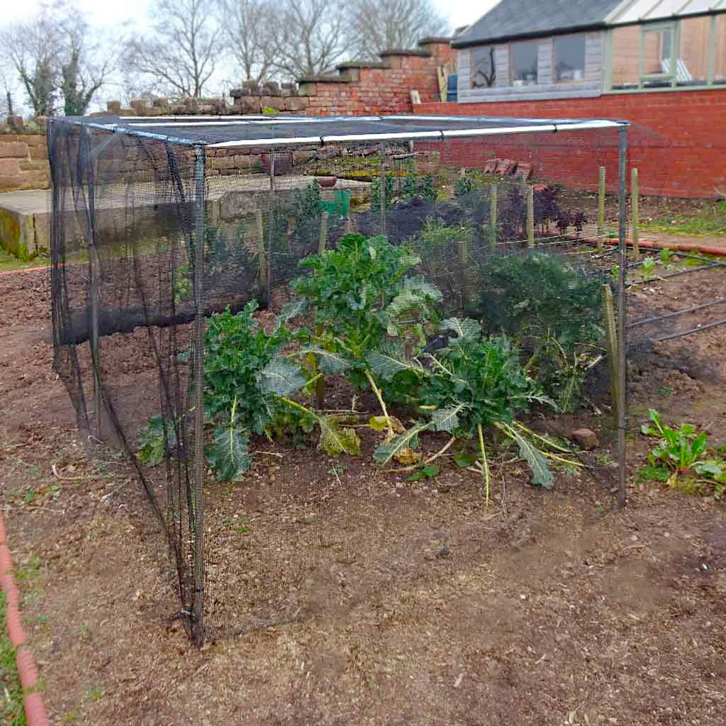 Knowle Nets Aluminium Vegetable Cage covering several vegetable plants on a large soil patch in a garden.