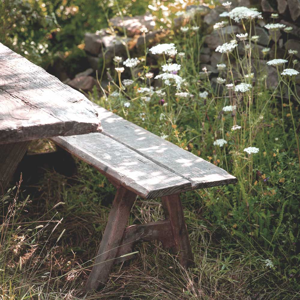 Wooden bench in a natural setting with wildflowers and a stone wall.
