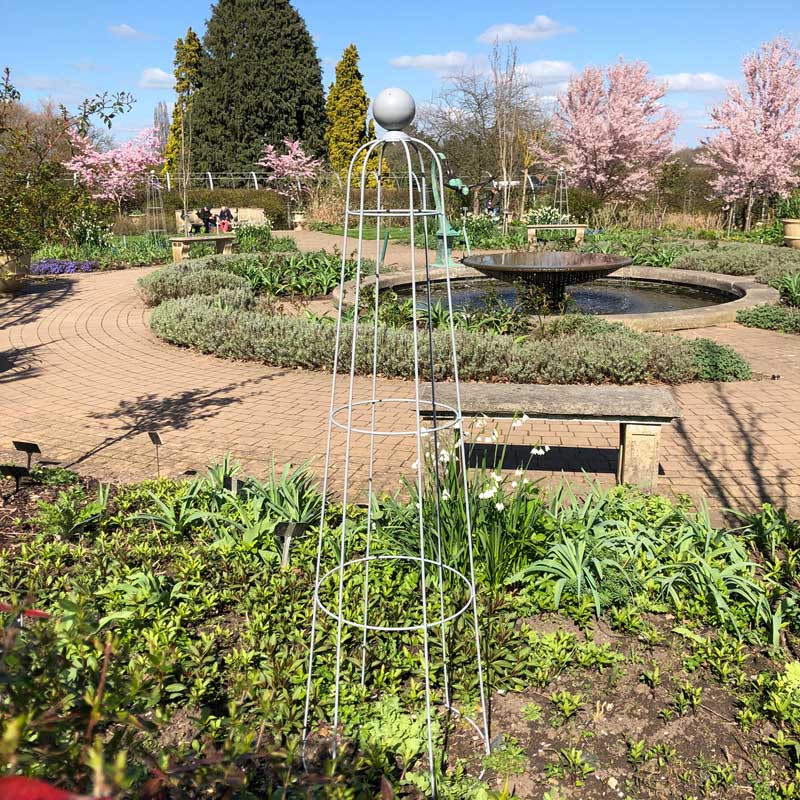 Bluebell Obelisks