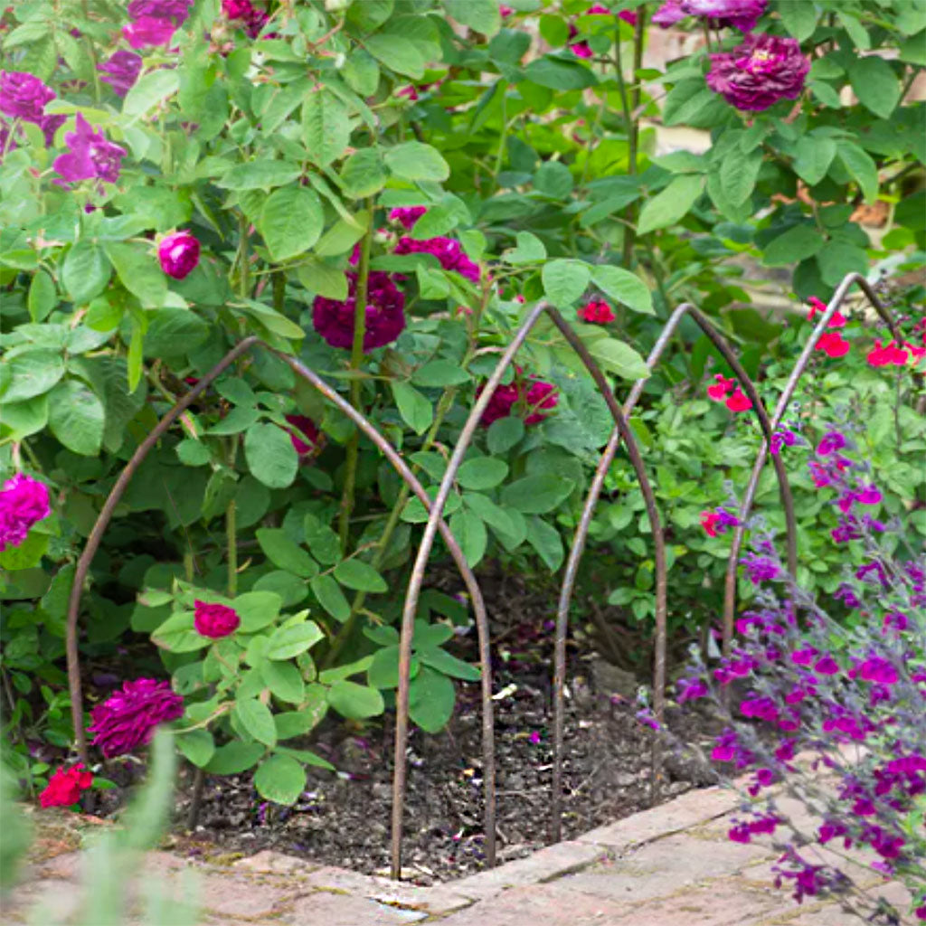 Round Border Edging Hoops (Pack of 6)