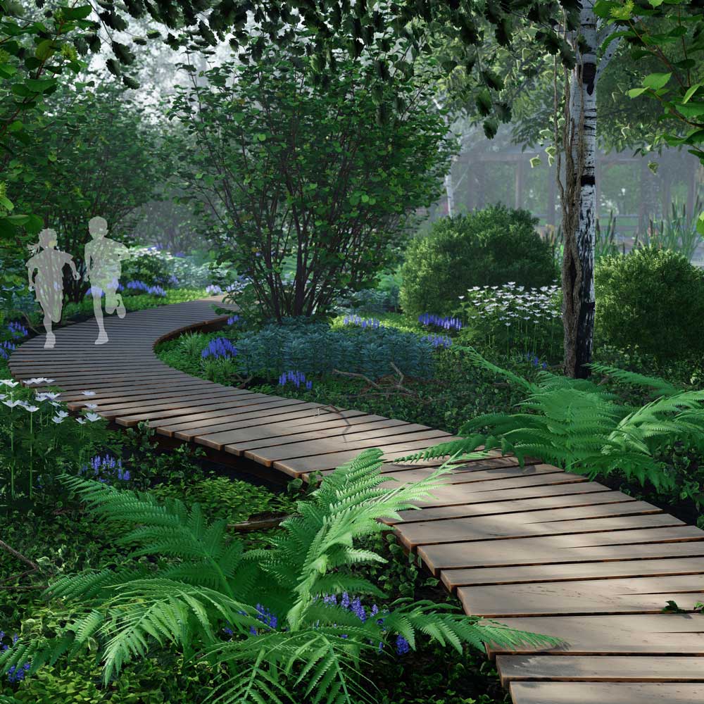 sweeping wooden path with ferns and bluebells