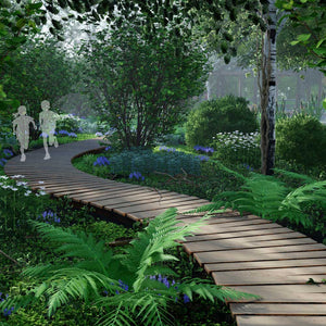 sweeping wooden path with ferns and bluebells