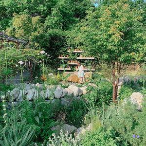 outdoor garden with ig stone walls