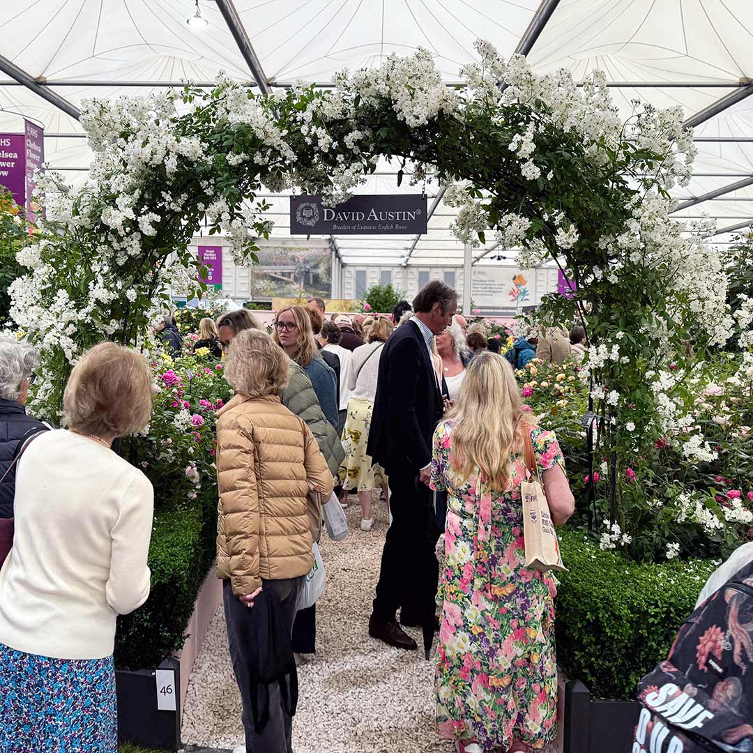 RHS Chelsea Flower Show flower display