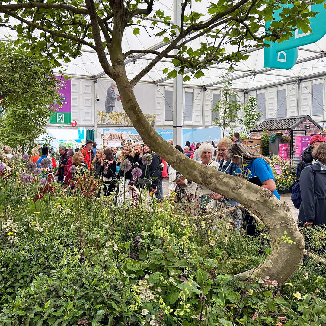 RHS Chelsea Flower Show