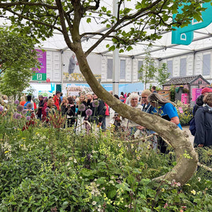 RHS Chelsea Flower Show