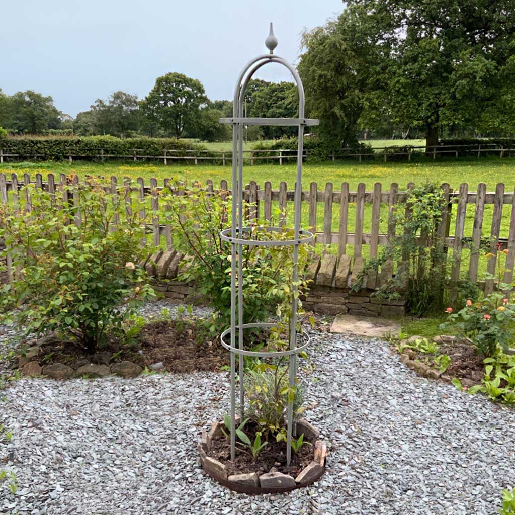 classic obelisk with roses growing through