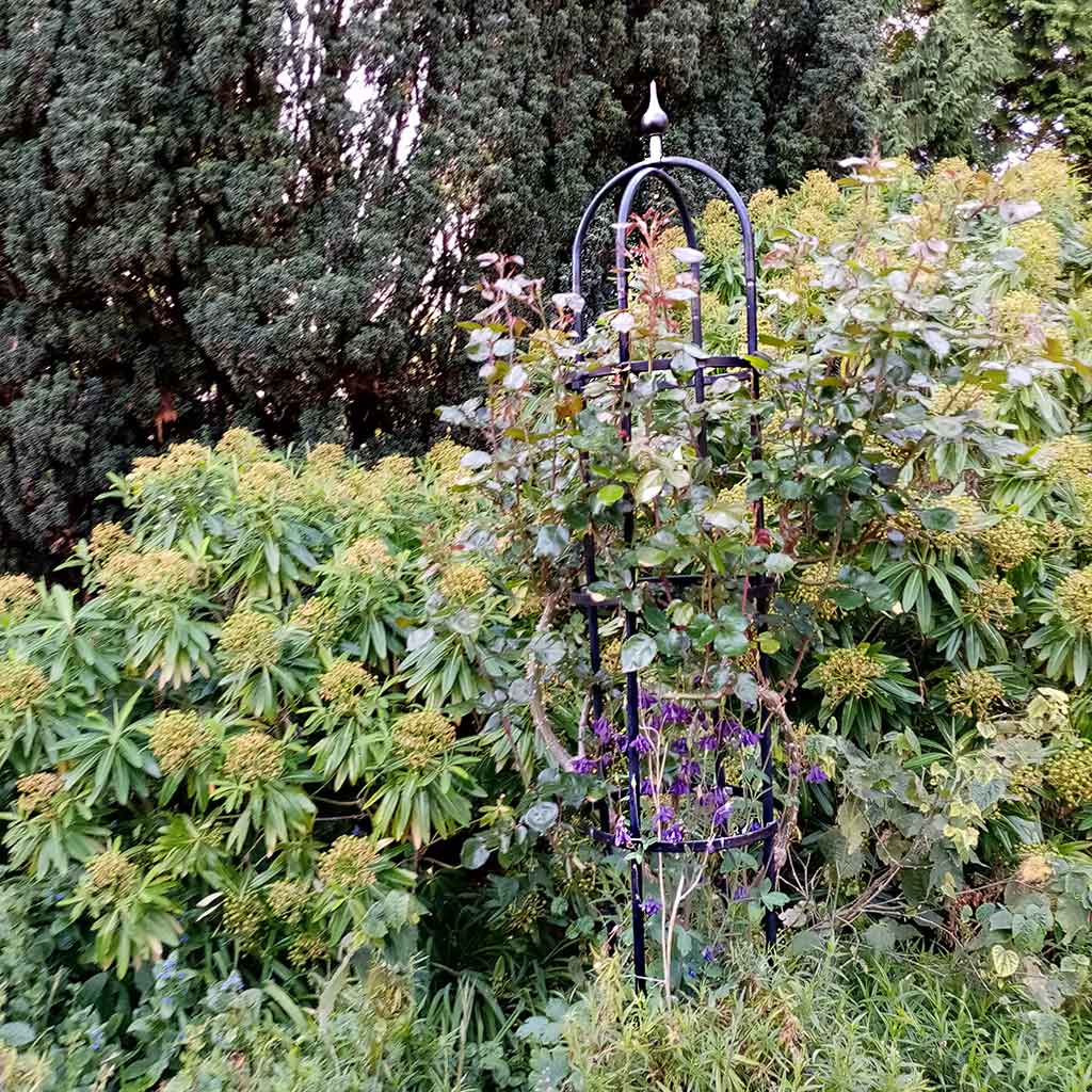 classic obelisk surrounded by shrubs