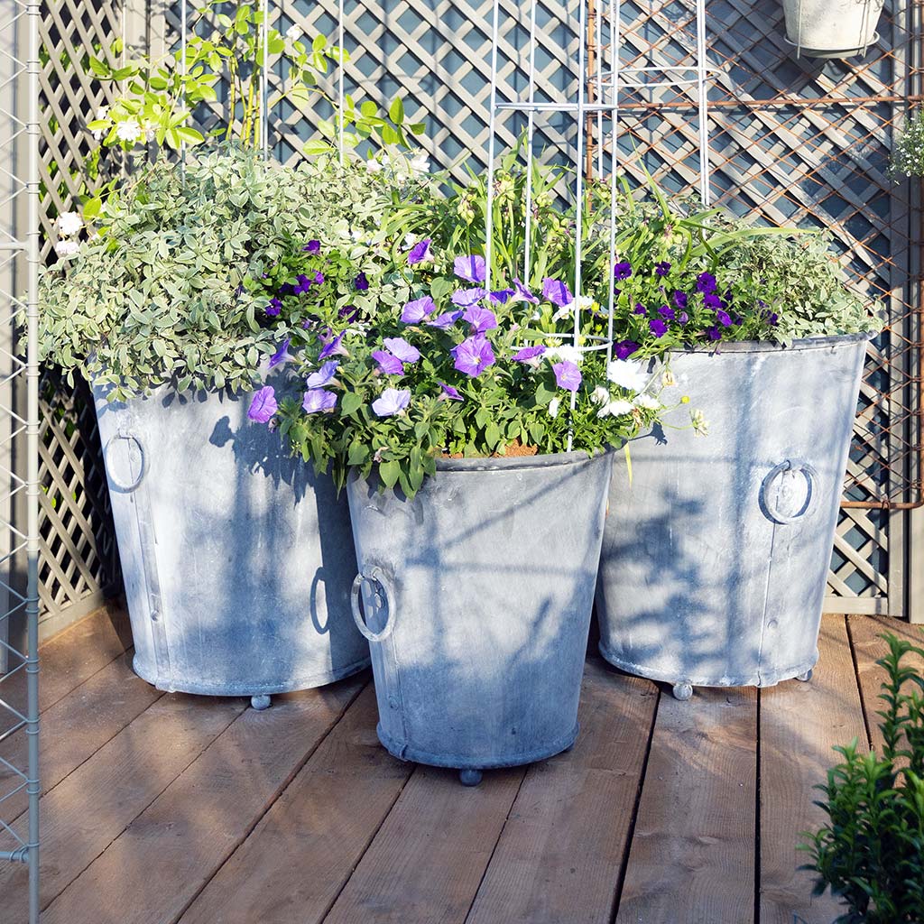 Group of Classic Zinc Planters in sizes small, medium and large with different varities of flower planted in them on a wood decking