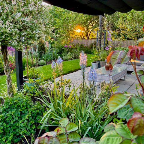 Garden scene with a patio area, plants, and flowers during sunset.