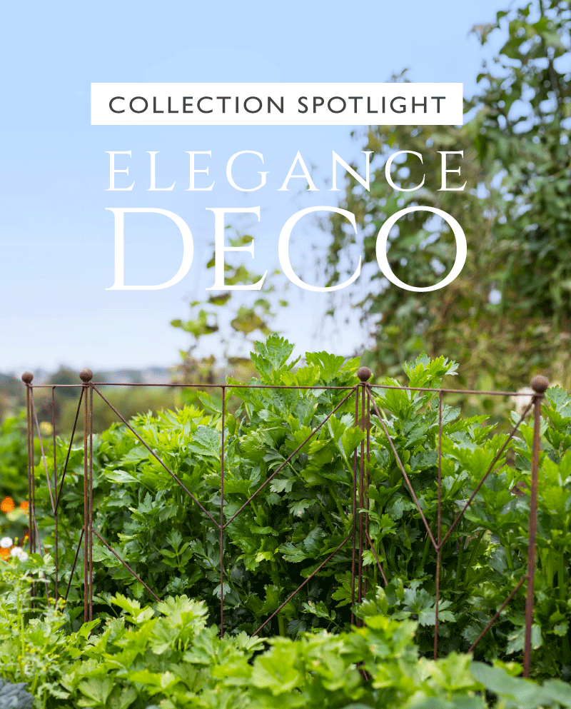 Agriframes elegance deco panel plant support in a flowerbed, overlaid with the text "collection spotlight elegance deco" 