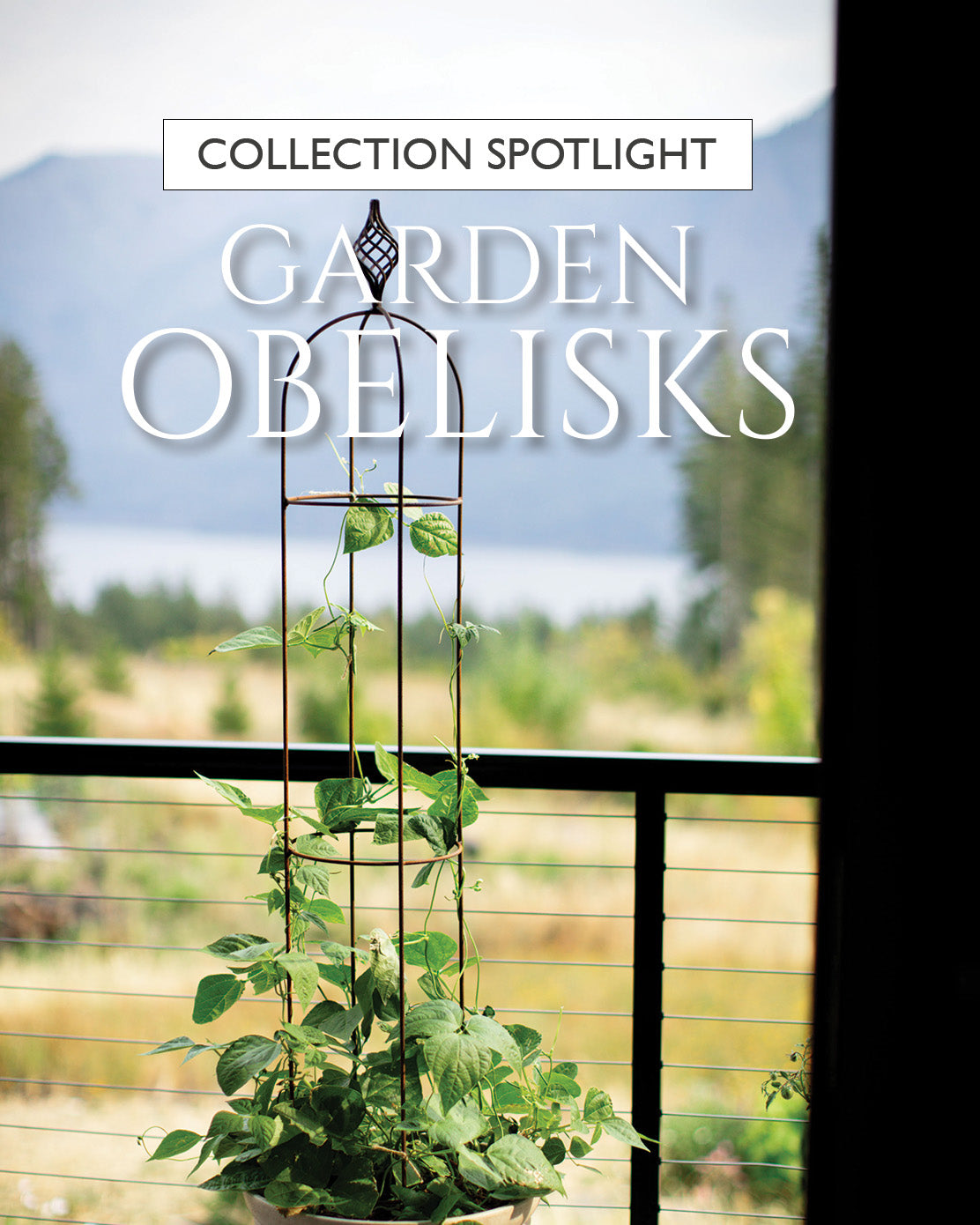 Agriframes Elegance Obelisk installed in a plant pot on a balcony overlooking a mountain and river.