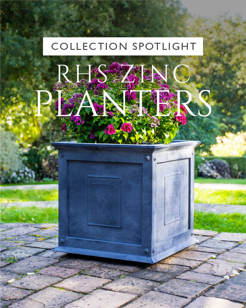 Agriframes RHS zinc planter on a stone patio with a pink-flowered plant growing inside, overlaid with the text "collection spotlight: rhs zinc planters"