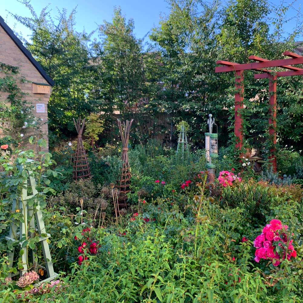 Garden with various plants, flowers, and wooden trellises on a sunny day.
