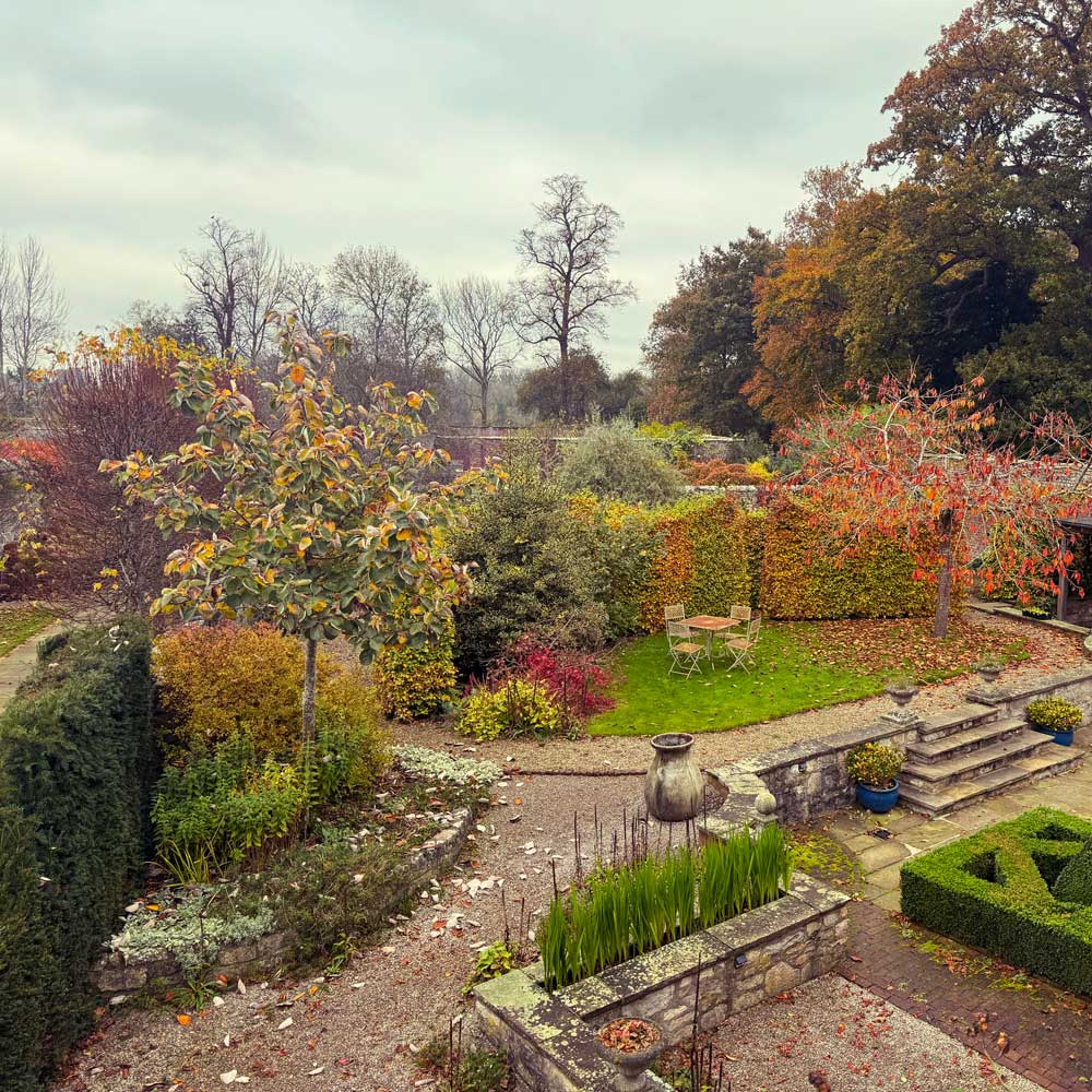 colourful-garden-autumn-leaves