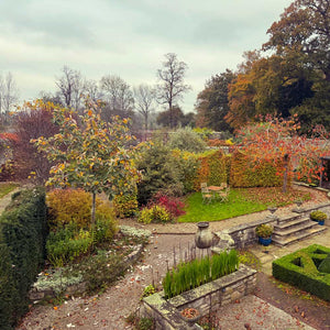 colourful-garden-autumn-leaves