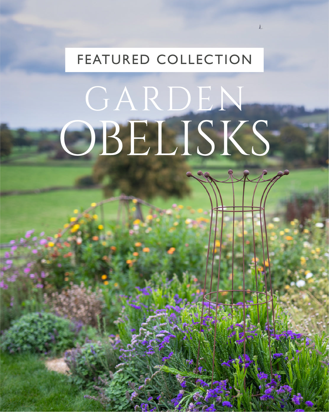 Agriframes Coronation Crown Obelisk installed in a flowerbed overlaid with the text "Featured Collection: Garden Obelisks"
