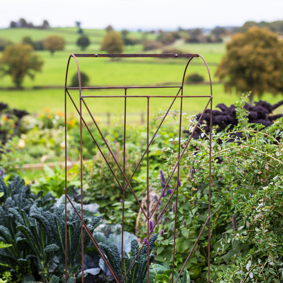 Rustic Agriframes Deco Growing Frame in a lush green garden with a blurred landscape.