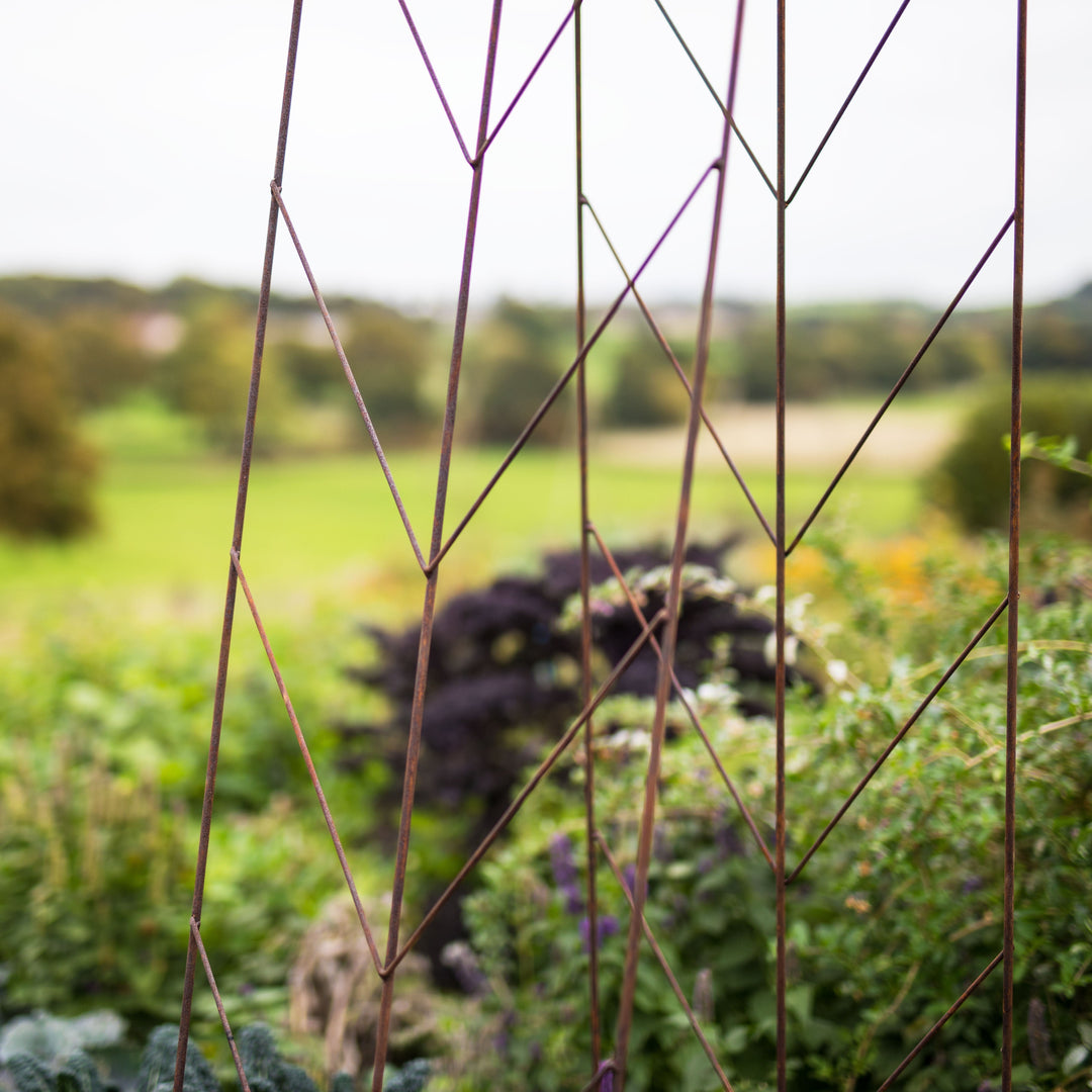 Closeup image of the Agriframes Deco Growing Frame with a garden background