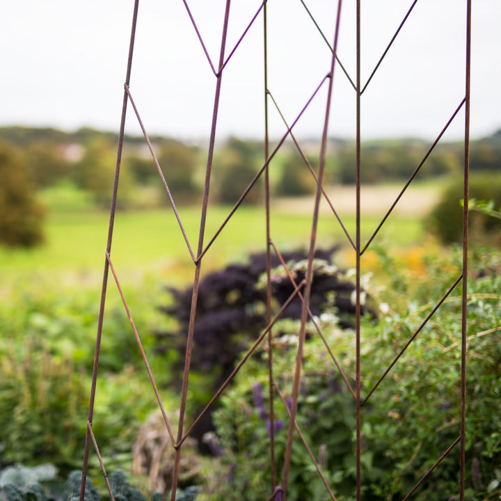 Closeup image of the Agriframes Deco Growing Frame with a garden background