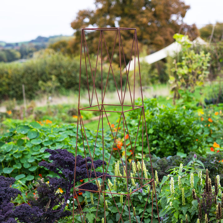 Top half of a rust-coloured decorative Agriframes deco metal obelisk  in a garden setting with greenery.