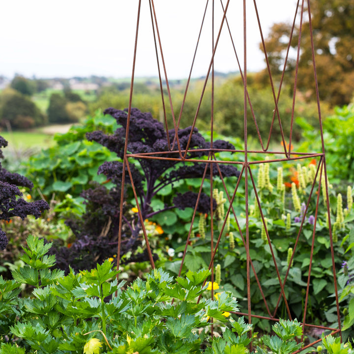 Closeup image of a rust-coloured Agriframes deco metal obelisk  in a garden setting with greenery.