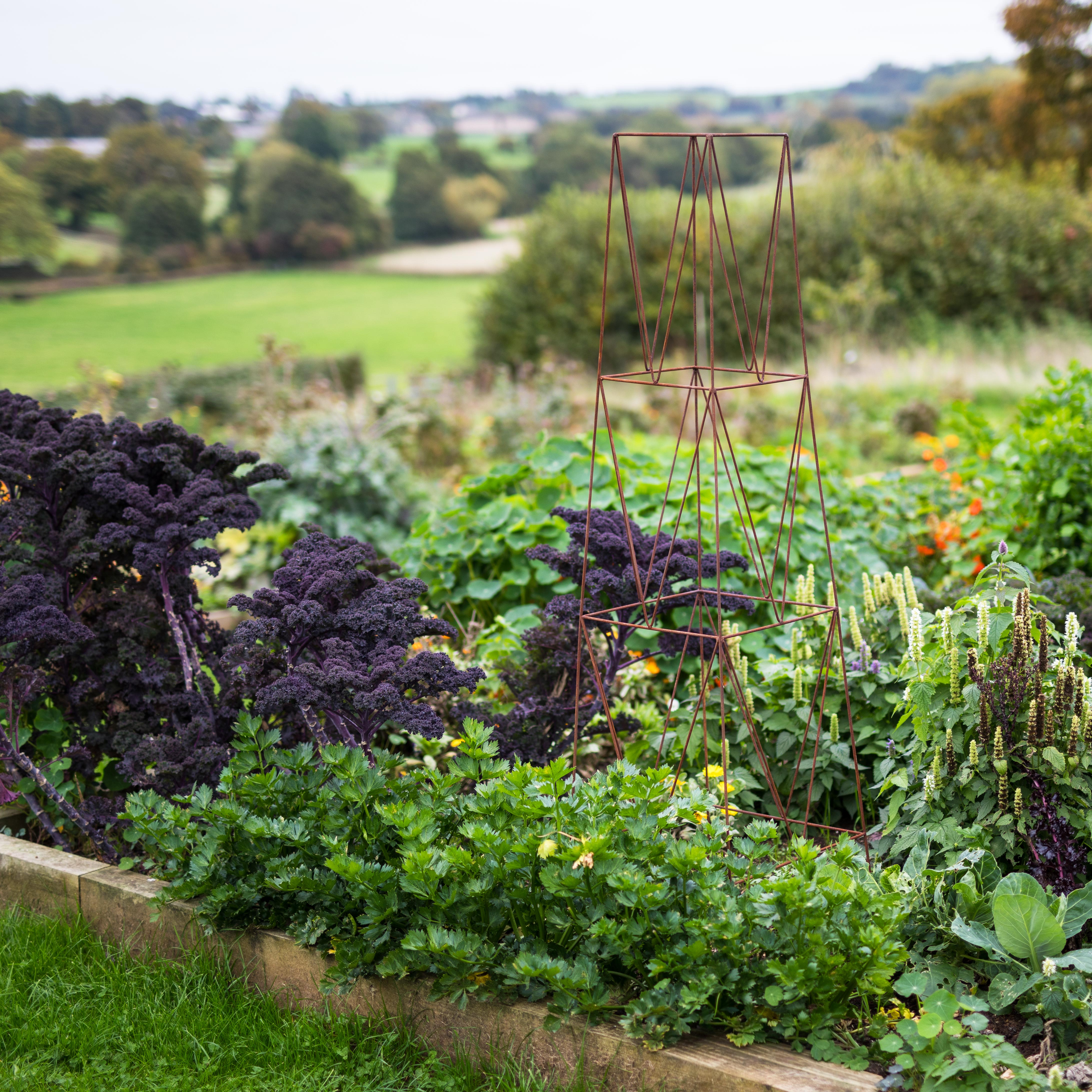 Wide shot of a Rustic Agriframes deco growing obelisk in a garden setting with greenery.