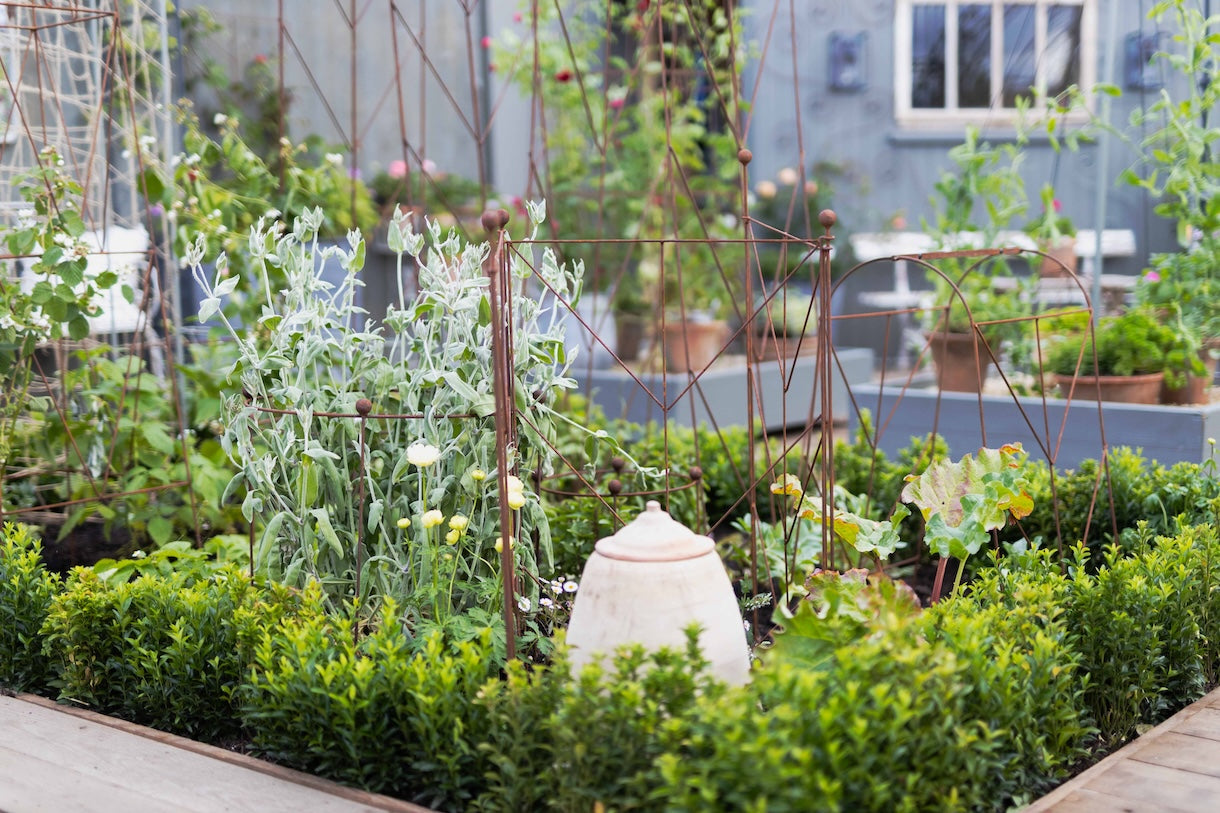Agriframes Deco Panel Plant Support installed in a raised bed at RHS Chelsea Flower Show 2026.