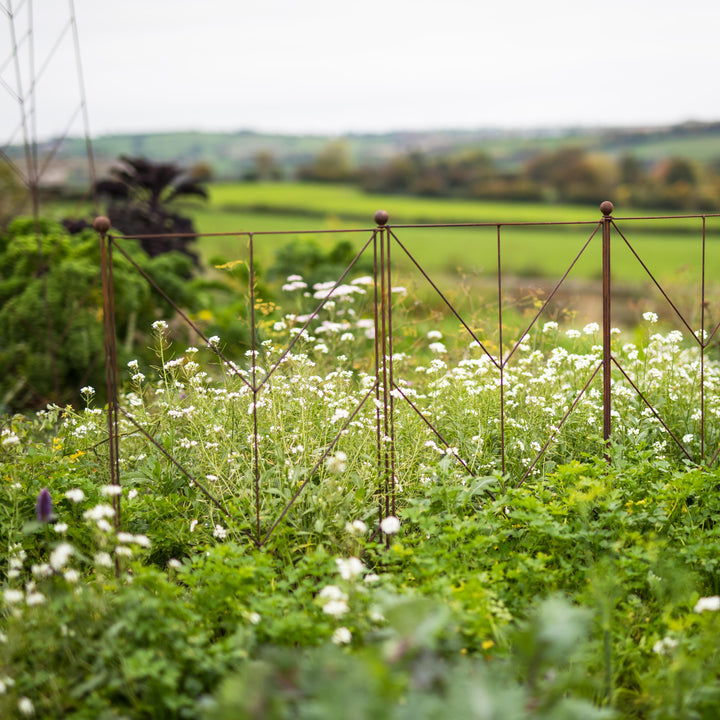 Agriframes Deco Panel Plant Support in a field with white flowers and greenery