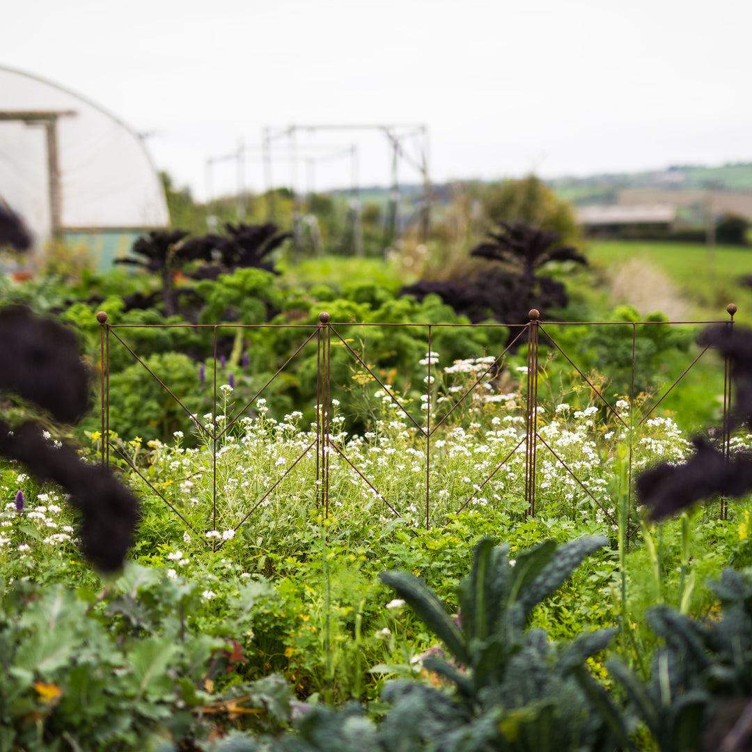 Agriframes Deco Panel Plant Support and Vegetable garden with plants and a greenhouse in the background