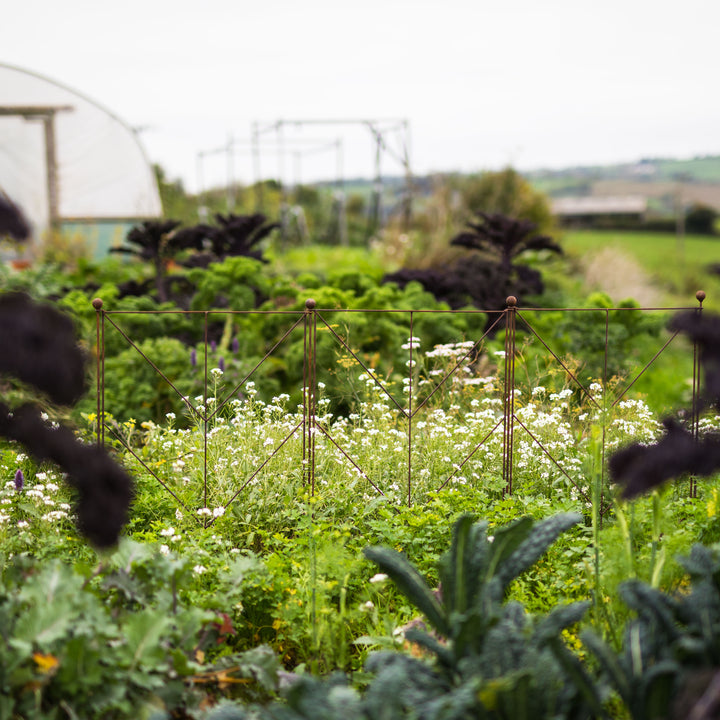 Agriframes Deco Panel Plant Support and Vegetable garden with plants and a greenhouse in the background