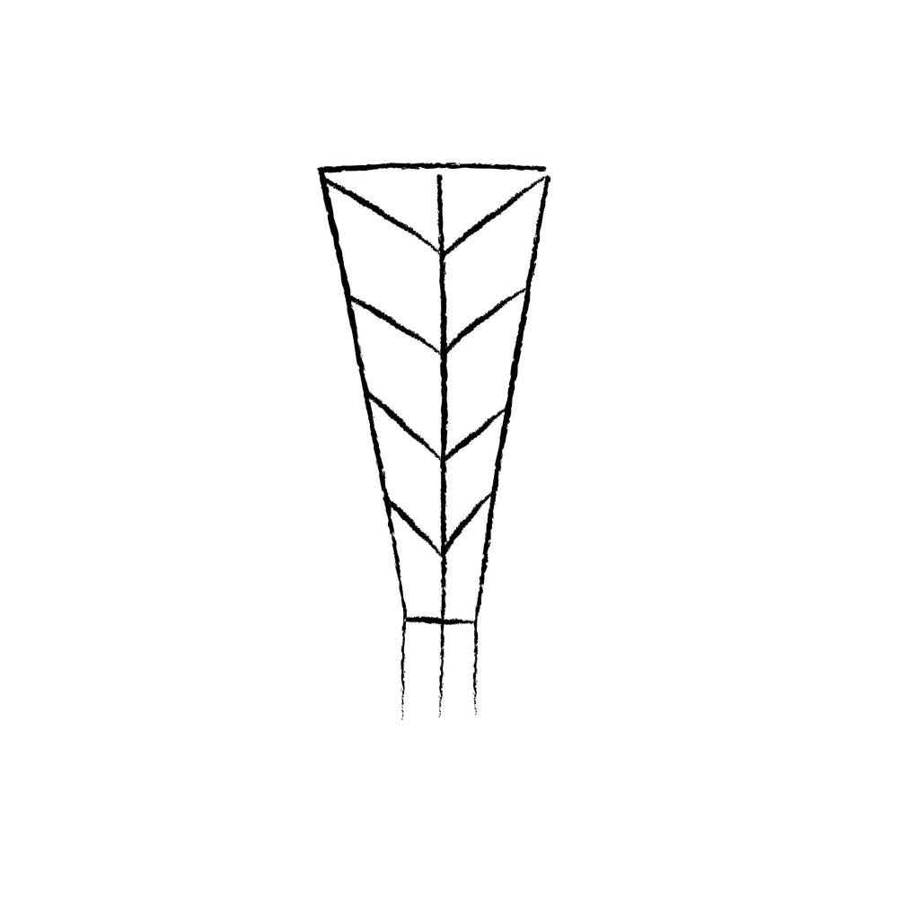 Black and white line drawing of a trellis