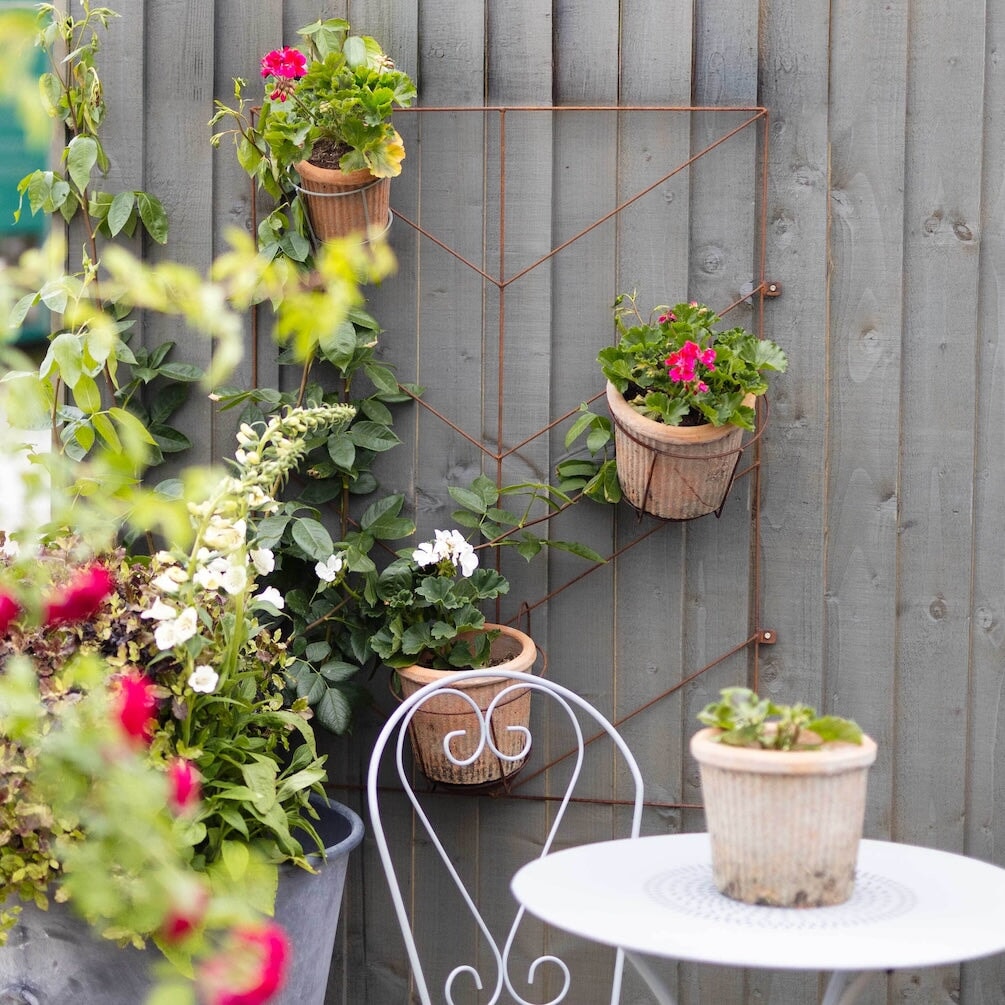 Agriframes Deco Wall Trellis installed on a wooden wall with various pots attached to its frame. 