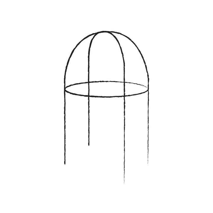Line drawing of the elegance domed fruit cage 